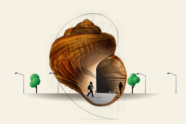 3. Ontwerpen