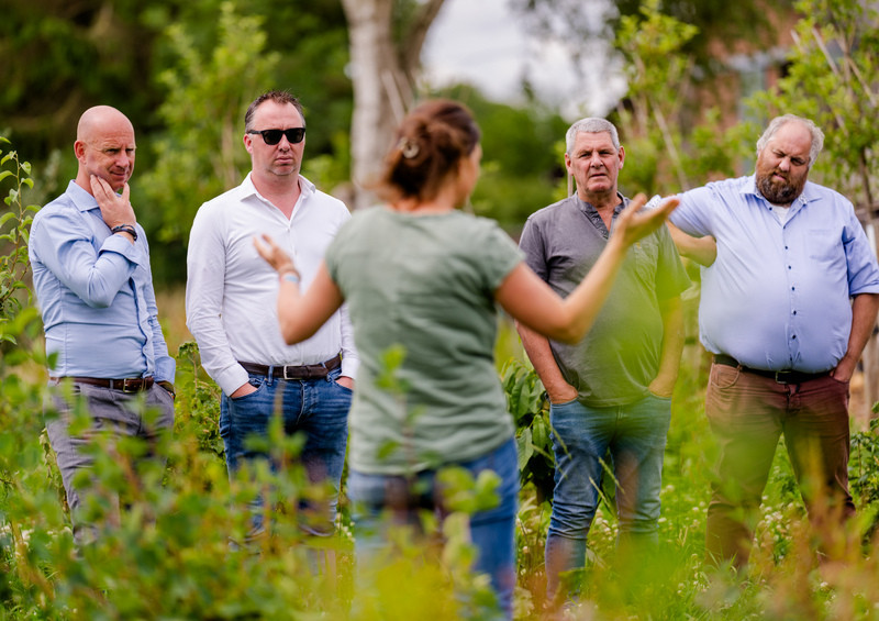 Partners van MVO Nederland in de sector Agrifood krijgen uitleg over natuurinclusief boeren.